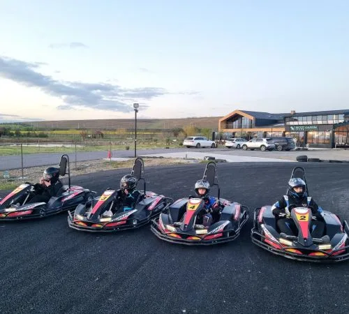 pista de karting