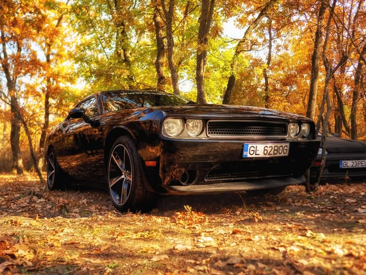 service auto bogcar quality